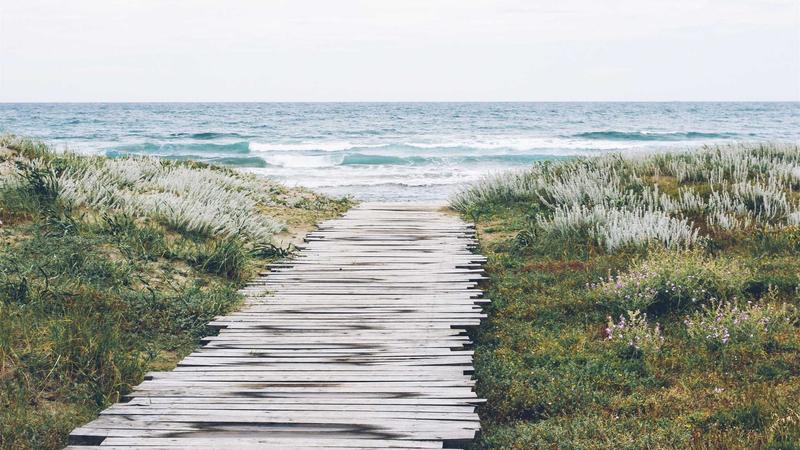 Finding the Right San Diego Fertility Specialists: A Comprehensive Guide